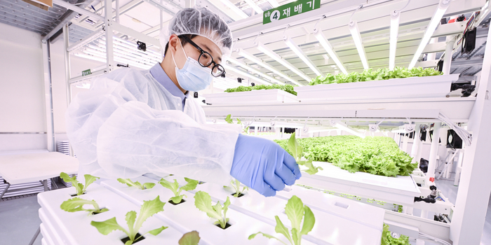 퇴근해도 마음은 늘 농장에… ‘5분 대기조’ 스마트팜 재배원의 하루