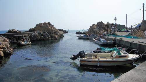 [주말&여행-울산 주전동의 작은 포구] ‘찹찹찹’ 미역 붙이는 소리…하리항에 봄이 왔구나